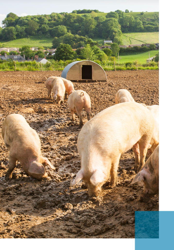 insong_product_01_1_5-717×1030